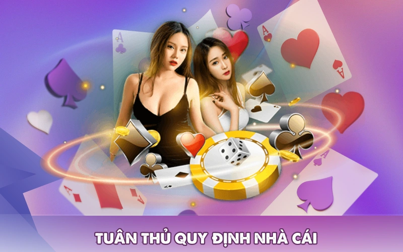 Tuân thủ quy định nhà cái