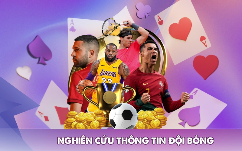 Nghiên cứu thông tin đội bóng